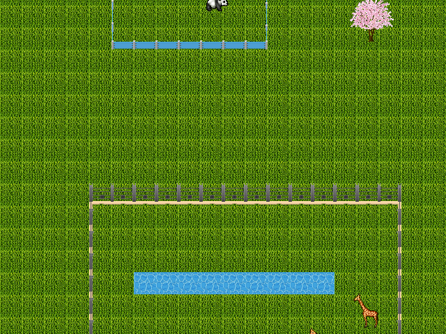 Zoo by Elliana